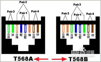 如何使用交叉网线直接连接两台电脑